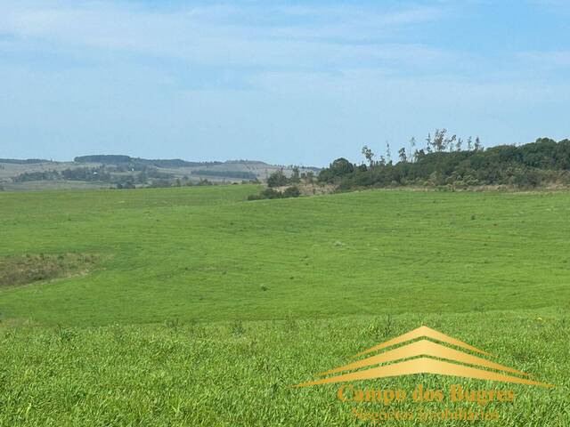 #1007 - Fazenda para Venda em Rosário do Sul - RS