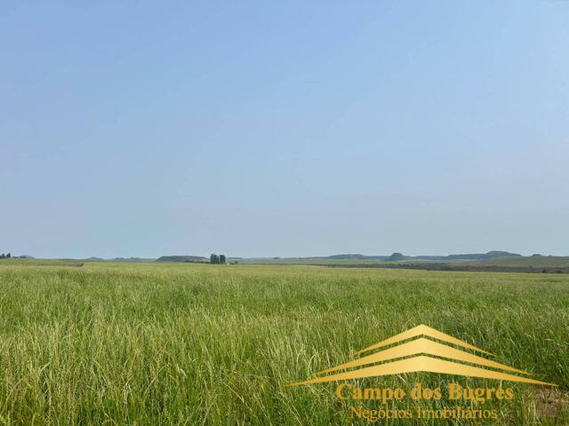 #1011 - Fazenda para Venda em Santana do Livramento - RS