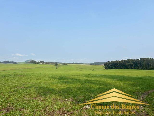 #1011 - Fazenda para Venda em Santana do Livramento - RS